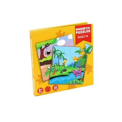 Magnetic Book Puzzle